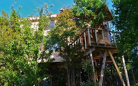 La Casa Del Árbol De Chiloé